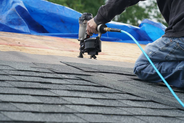 Best Roof Gutter Cleaning  in Morgantown, WV